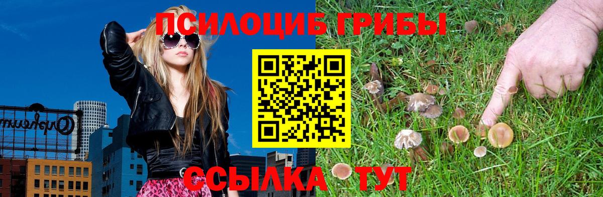 Галлюциногенные грибы мухоморы  Вход с VPN  Елец 